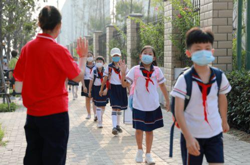 开封小学生最新爆料事件,揭开校园安全与教育监管的隐忧