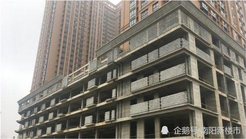 南阳开发商最新爆料,最新项目亮点与未来展望